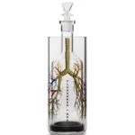 GRAV® Breathe Again Gravitron®